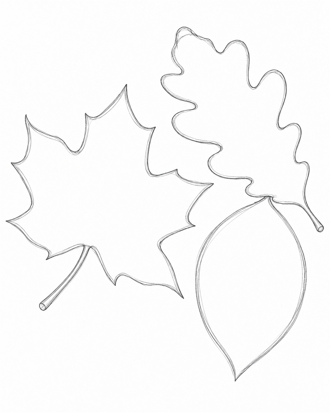 Stage 2: Shapes