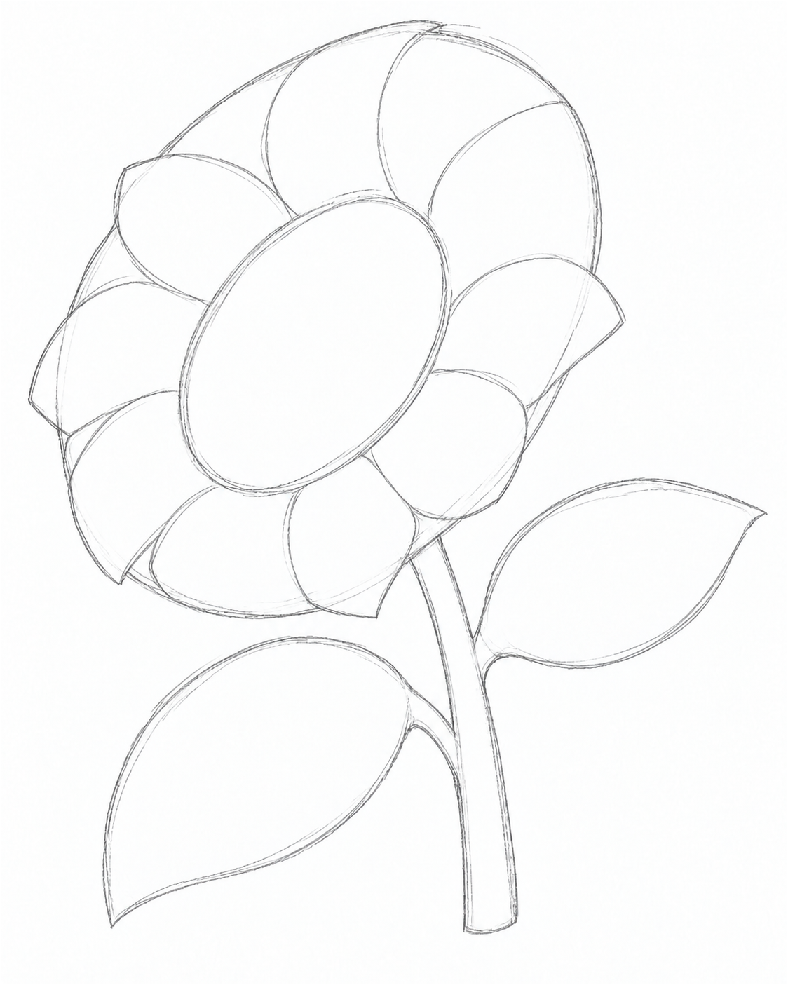 Stage 2: Shapes