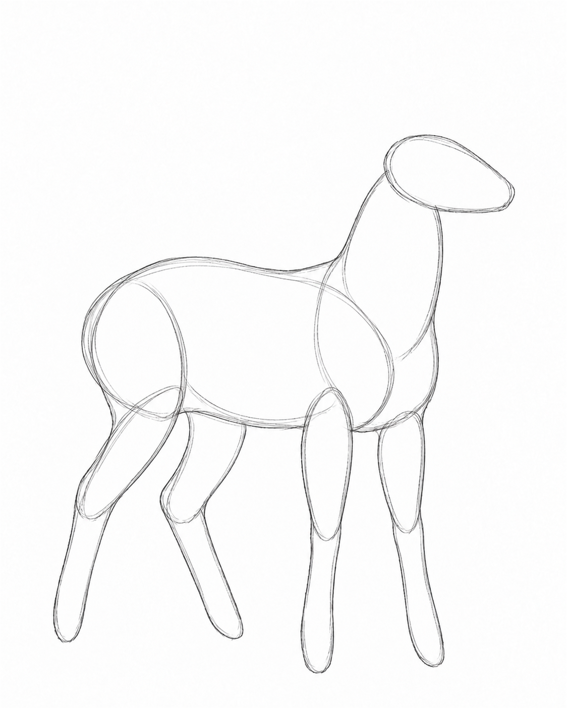 Stage 2: Shapes