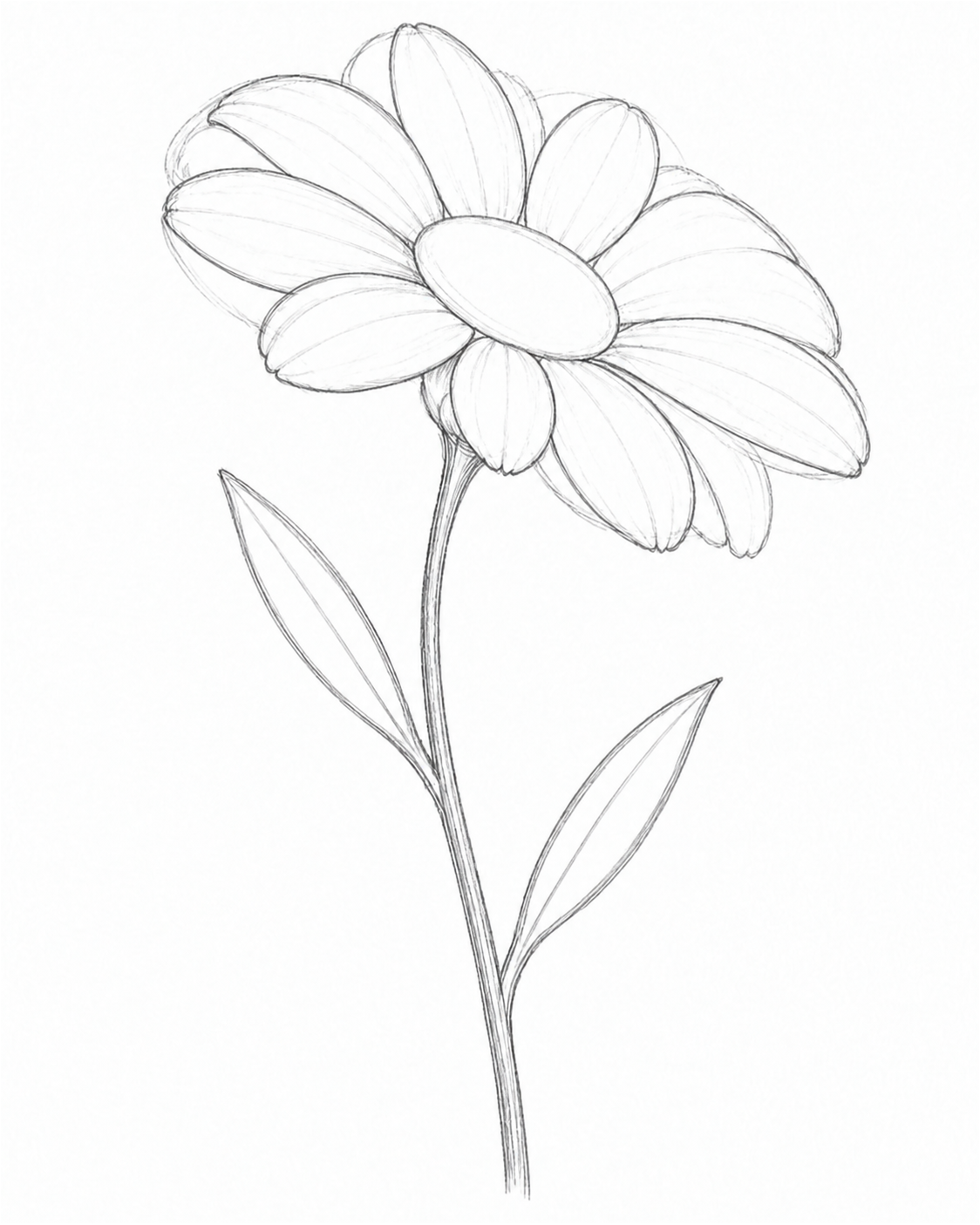 Stage 3: Refine the Petals