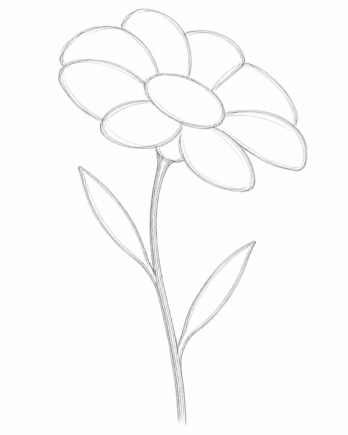 Stage 2: Shapes