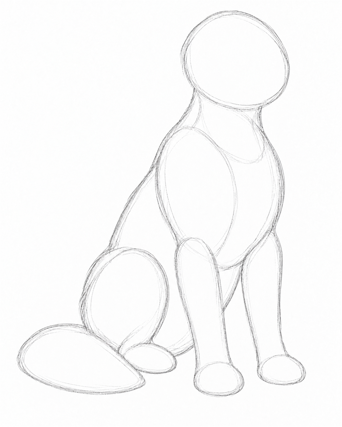 Stage 2: Shapes
