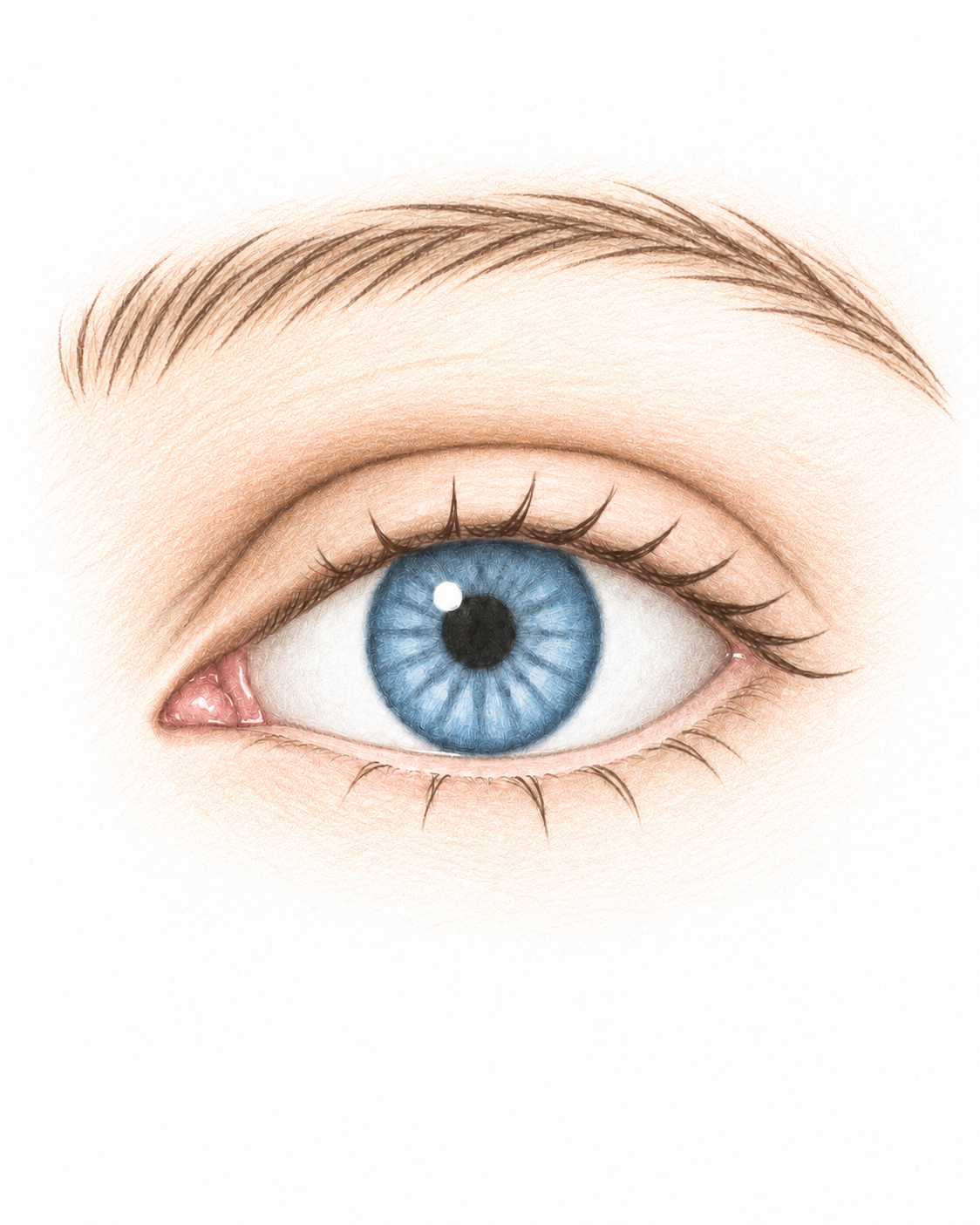 Eye in coloured pencil